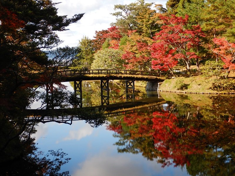 🏯 슈가쿠인 이궁 (슈가쿠인리큐) 이미지 7